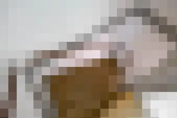 Kremersheerd 49 Groningen thumbnail 19