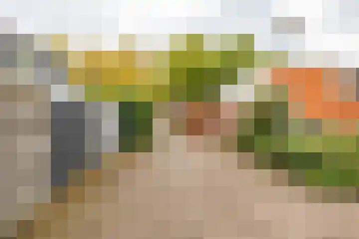 Kremersheerd 49 Groningen thumbnail 31