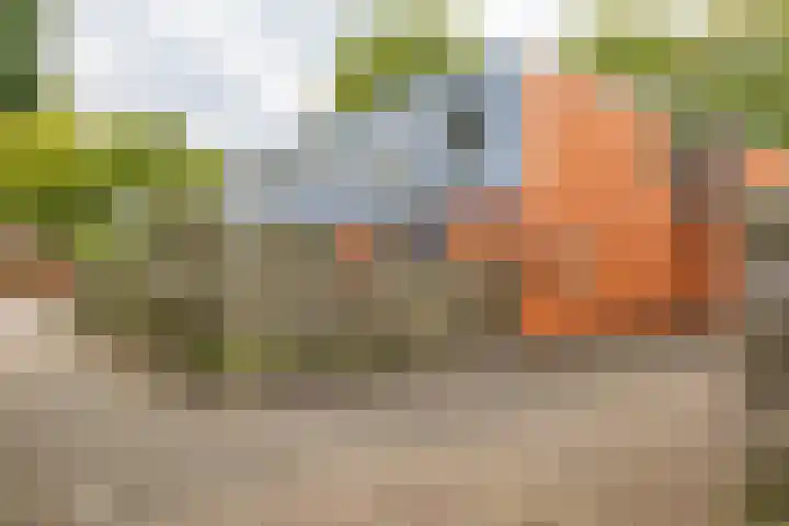 Kremersheerd 49 Groningen thumbnail 4