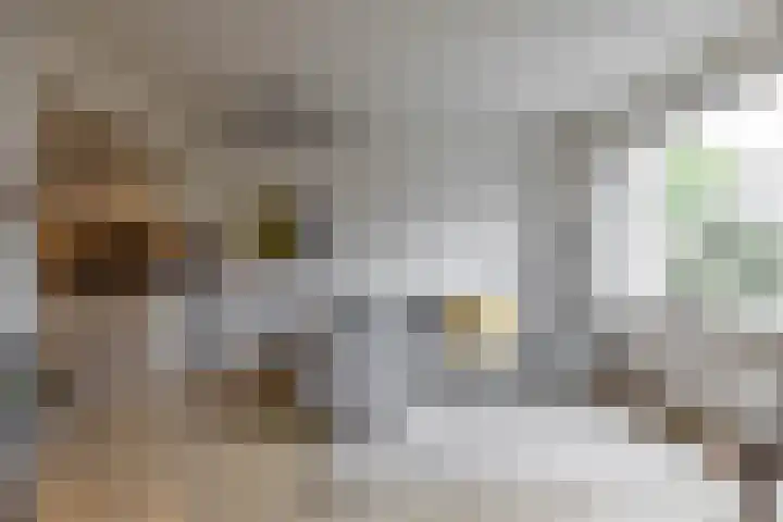 Kremersheerd 53 Groningen thumbnail 11