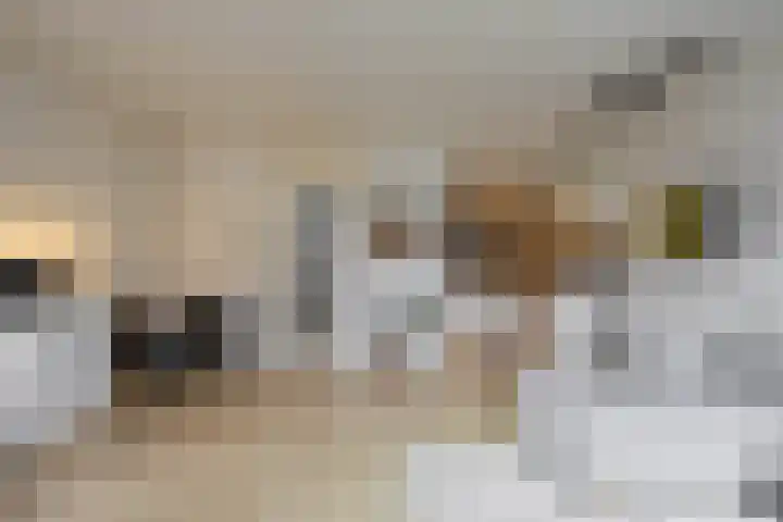 Kremersheerd 53 Groningen thumbnail 13