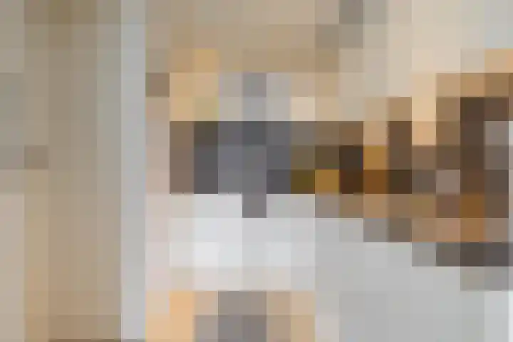 Kremersheerd 53 Groningen thumbnail 14
