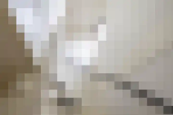Kremersheerd 53 Groningen thumbnail 18