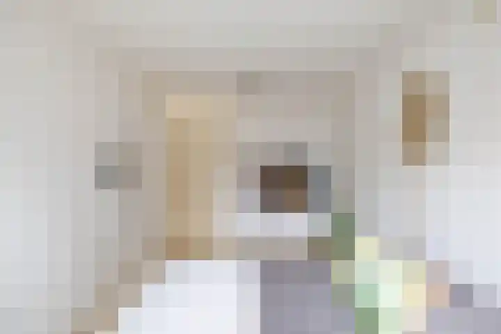 Kremersheerd 53 Groningen thumbnail 20