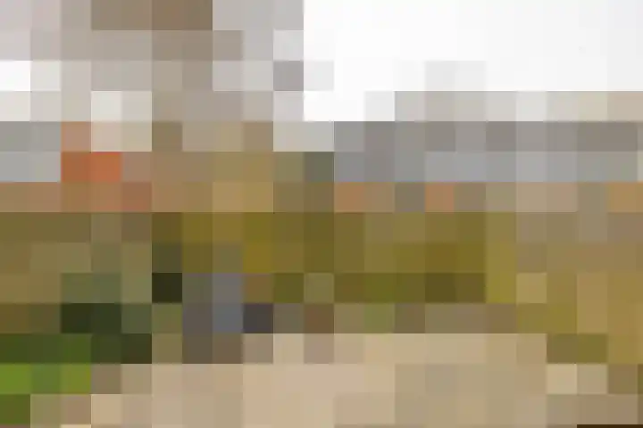 Kremersheerd 53 Groningen thumbnail 27