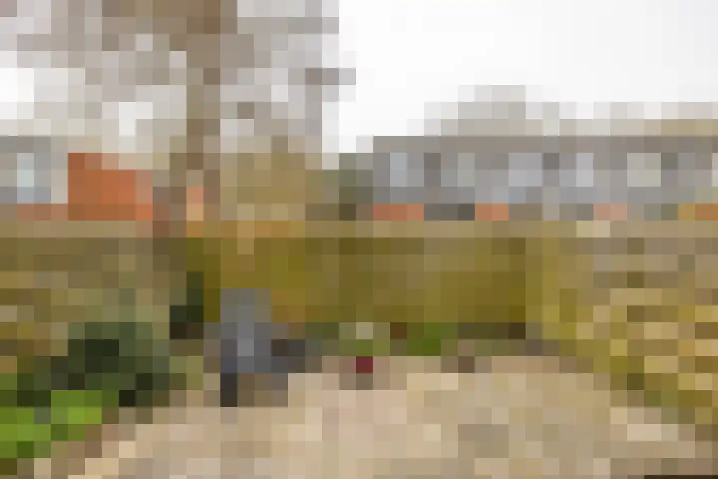Kremersheerd 53 Groningen thumbnail 27