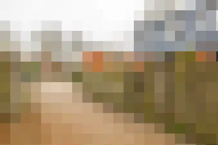 Kremersheerd 53 Groningen thumbnail 29