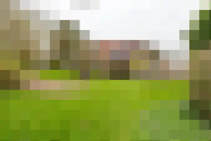 Kremersheerd 53 Groningen thumbnail 30