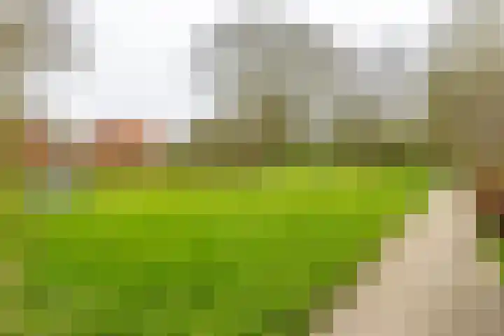 Kremersheerd 53 Groningen thumbnail 4