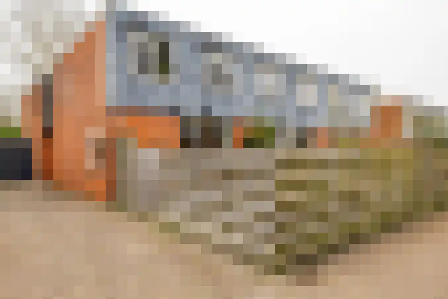 Kremersheerd 53 Groningen thumbnail 5
