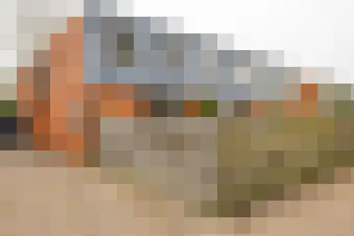 Kremersheerd 53 Groningen thumbnail 5
