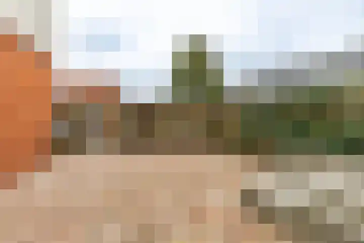 Kremersheerd 61 Groningen thumbnail 14