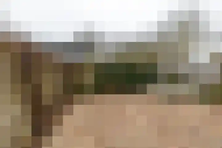 Kremersheerd 61 Groningen thumbnail 15