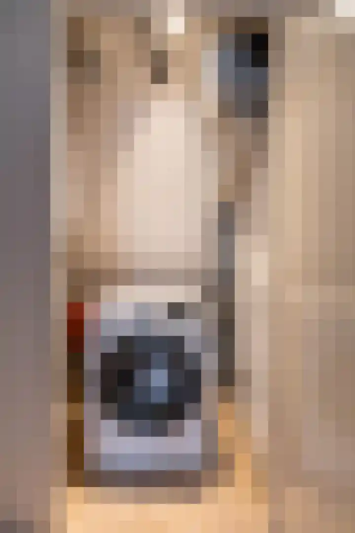 Kremersheerd 61 Groningen thumbnail 27