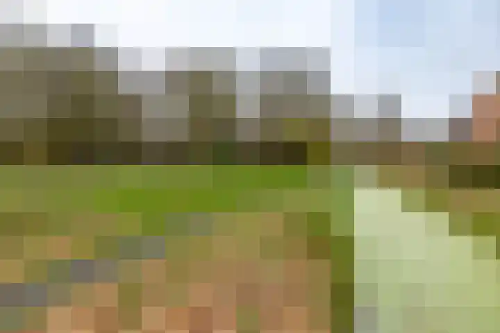 Kremersheerd 61 Groningen thumbnail 35