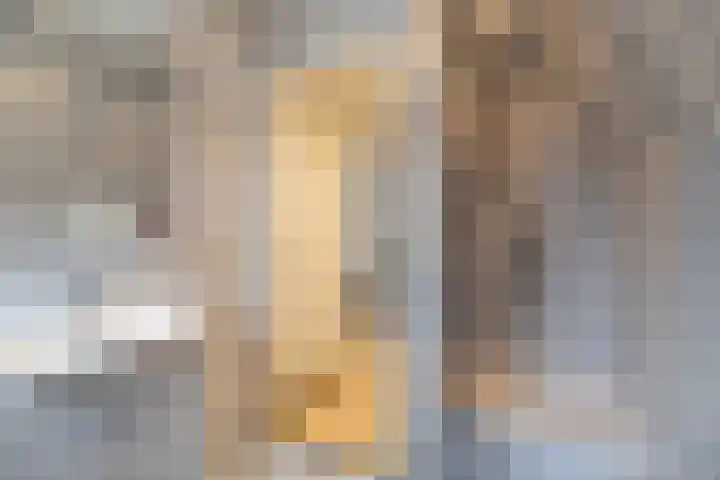 Kremersheerd 61 Groningen thumbnail 4