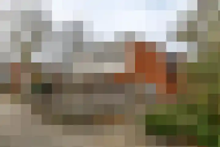 Kremersheerd 61 Groningen thumbnail 5