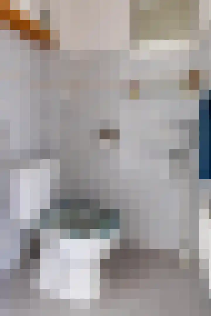 Kremersheerd 61 Groningen thumbnail 7