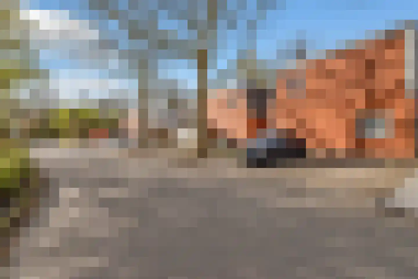Kremersheerd 67 Groningen thumbnail 8