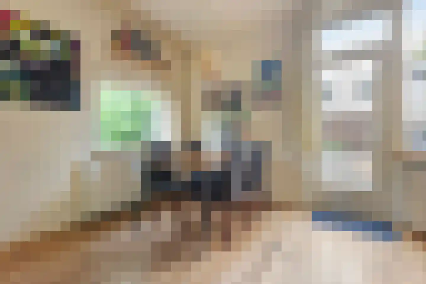 Kremersheerd 73 Groningen thumbnail 11