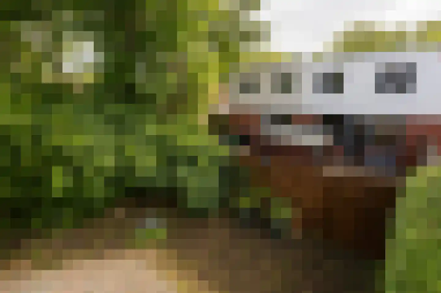 Kremersheerd 73 Groningen thumbnail 31