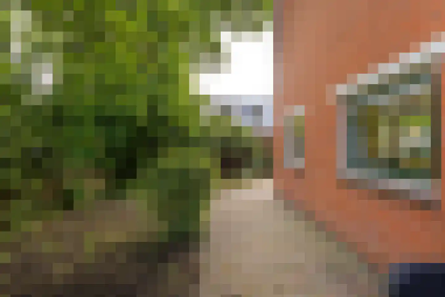 Kremersheerd 73 Groningen thumbnail 33