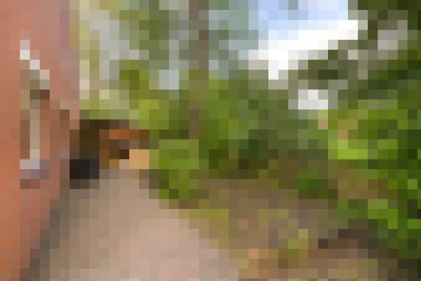 Kremersheerd 73 Groningen thumbnail 34