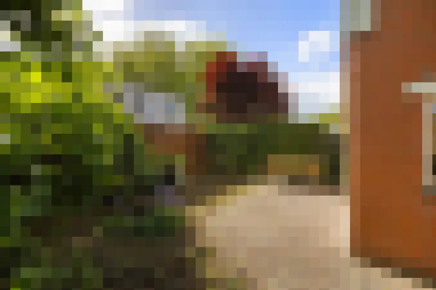 Kremersheerd 73 Groningen thumbnail 36