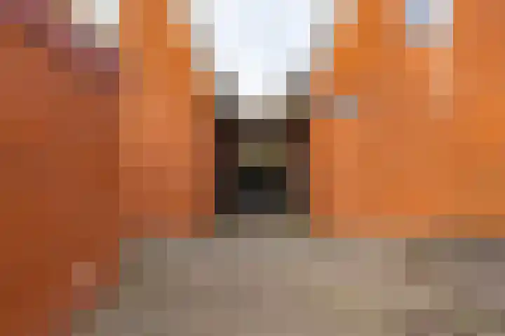 Kremersheerd 75 Groningen thumbnail 4