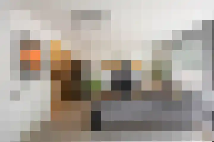 Kremersheerd 77 Groningen thumbnail 11