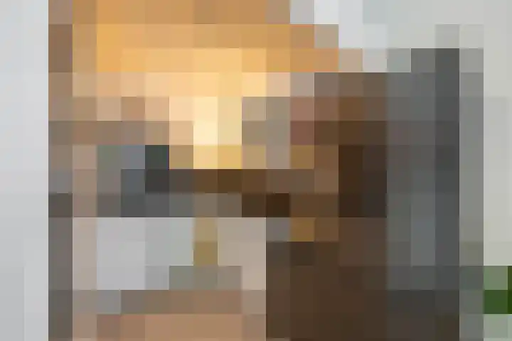 Kremersheerd 77 Groningen thumbnail 12