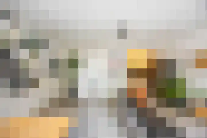 Kremersheerd 77 Groningen thumbnail 14