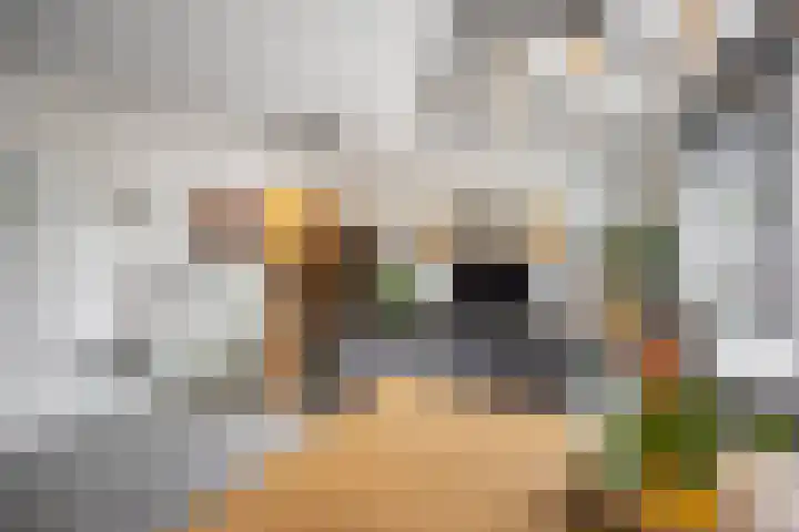 Kremersheerd 77 Groningen thumbnail 15