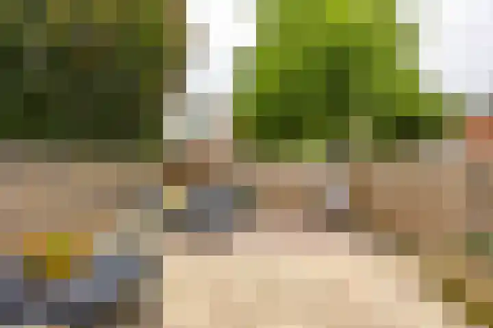 Kremersheerd 77 Groningen thumbnail 17