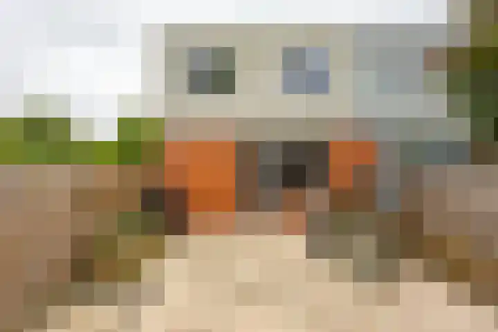 Kremersheerd 77 Groningen thumbnail 18
