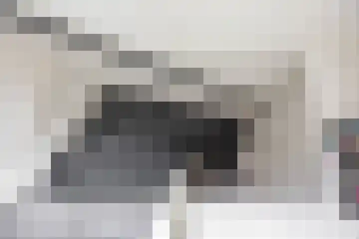 Kremersheerd 77 Groningen thumbnail 19