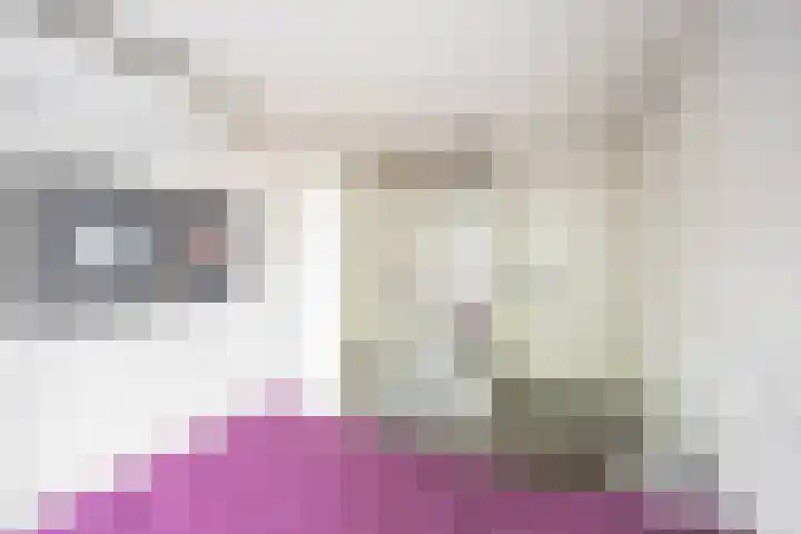 Kremersheerd 77 Groningen thumbnail 22