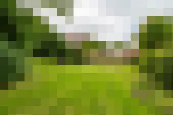 Kremersheerd 77 Groningen thumbnail 31