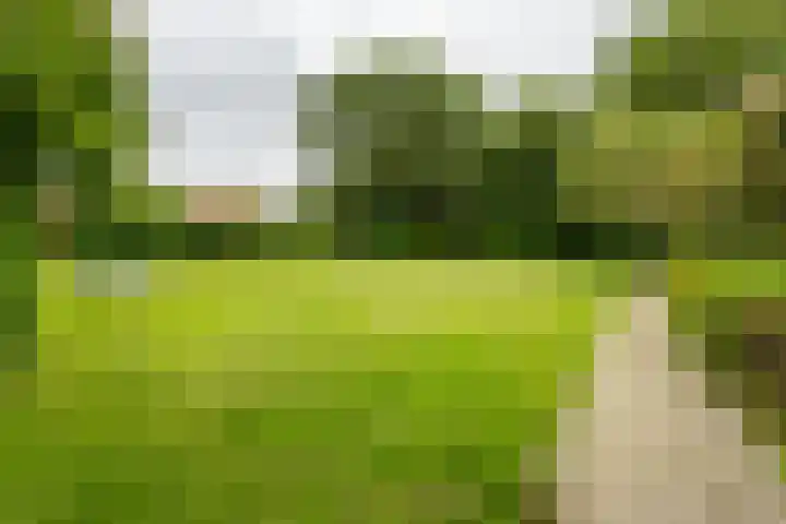 Kremersheerd 77 Groningen thumbnail 32