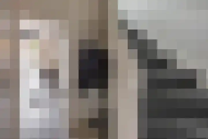 Kremersheerd 77 Groningen thumbnail 9