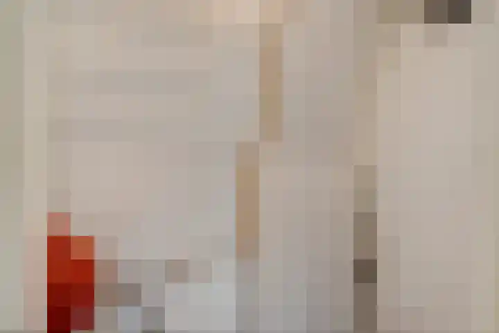 Kremersheerd 79 Groningen thumbnail 29