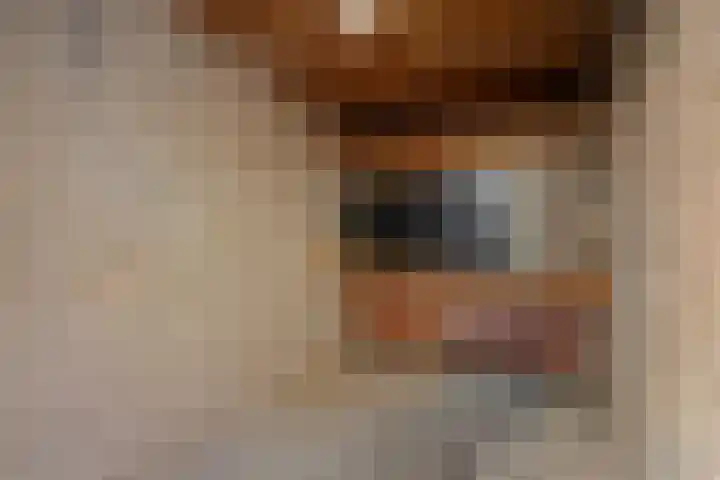 Kremersheerd 79 Groningen thumbnail 37