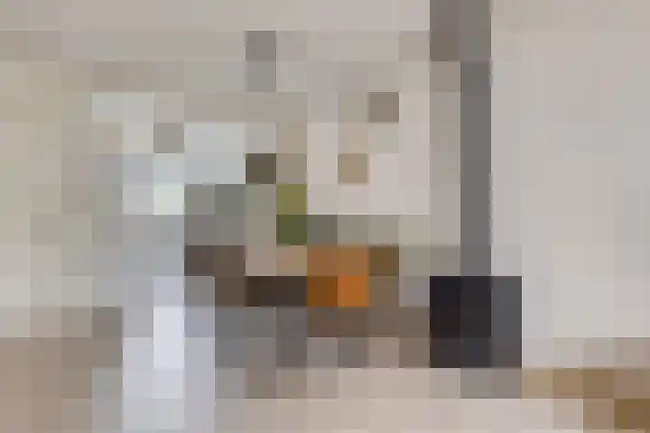 Kremersheerd 87 Groningen thumbnail 13