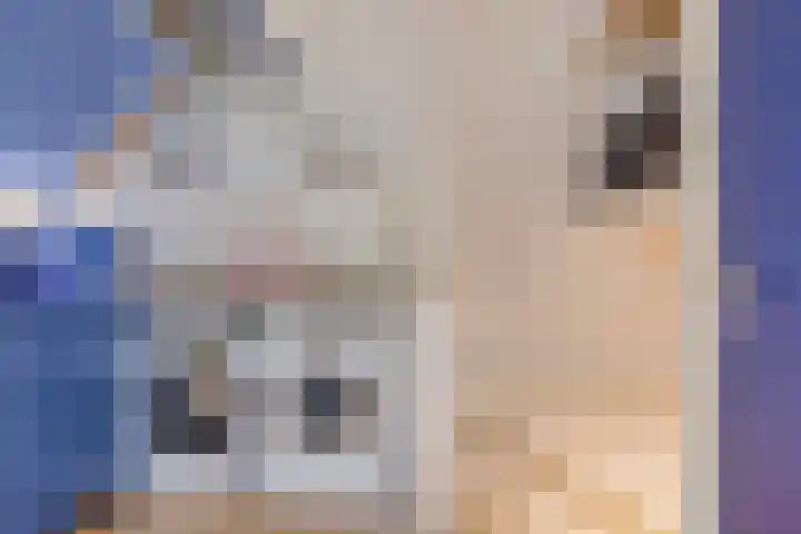Kremersheerd 87 Groningen thumbnail 24