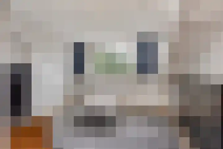 Kremersheerd 87 Groningen thumbnail 26
