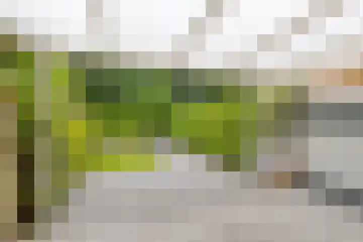 Kremersheerd 87 Groningen thumbnail 27