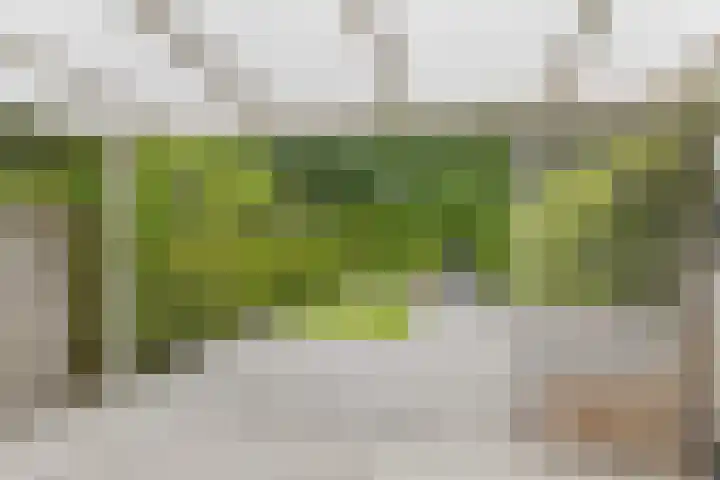 Kremersheerd 87 Groningen thumbnail 28