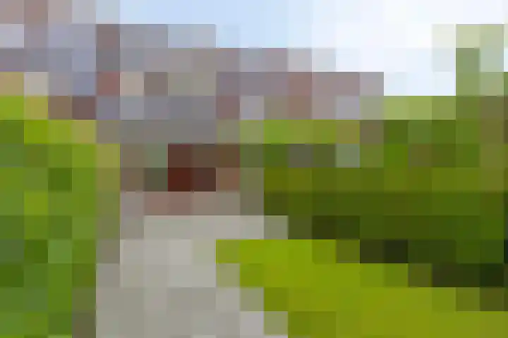Kremersheerd 87 Groningen thumbnail 29