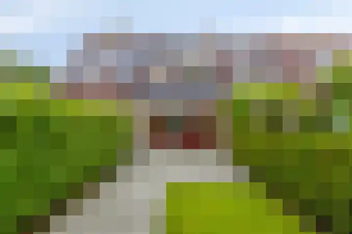 Kremersheerd 87 Groningen thumbnail 30
