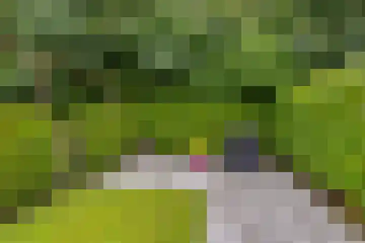 Kremersheerd 87 Groningen thumbnail 31